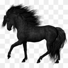 Download Black Horsepicture Png Images Background - Black Horse Png, Transparent Png - white horse png