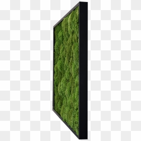 Artificial Turf, HD Png Download - hanging moss png