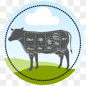 Beef Circle, HD Png Download - circle .png
