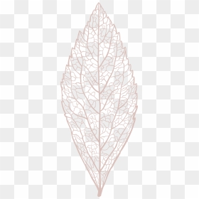 Skeletons Png, Transparent Png - skeletons png