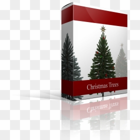 Christmas Tree , Png Download - Christmas Ornament, Transparent Png - christmas trees png