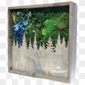 Picture Frame, HD Png Download - hanging moss png