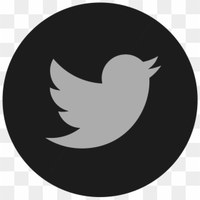 Twitter Twitter Logo Button Png- - Round Twitter Logo Png Transparent Background, Png Download - twitter logo black png