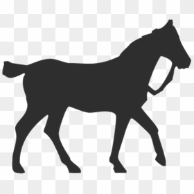 Horse Silhouette Equestrian Pet - Horse, HD Png Download - white horse png