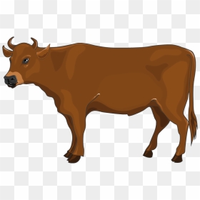 Thumb Image - Boeuf Png, Transparent Png - boi hand png