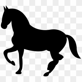 Dancing Black Horse Shape Of Svg Png - Horse Icon, Transparent Png - white horse png