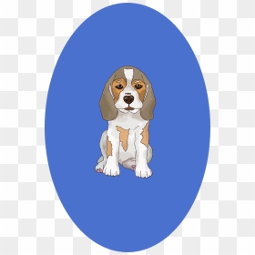 Beaglier, HD Png Download - cute puppy png