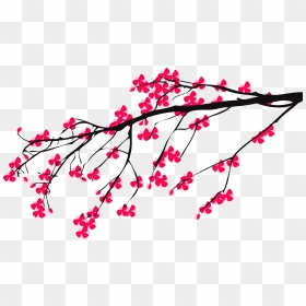 Transparent Cherry Blossom Branch Png - Cherry Blossom Tree Branch Png, Png Download - cherry blossom branch png
