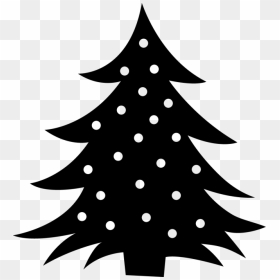 Christmas Tree Silhouette Photography - Christmas Tree, HD Png Download - christmas trees png