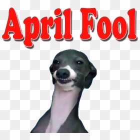 April Fool"s Day Png Pictures - Jennamarbles Kermit Ladies Please, Transparent Png - april png
