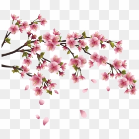 This Page Contains Information About Japanese Flower - Transparent Chinese Flowers Png, Png Download - cherry blossom branch png