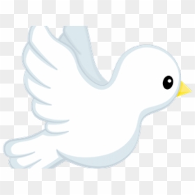 Transparent Peace Dove Clipart - Pigeons And Doves, HD Png Download - baptism png