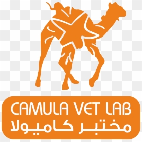 Arabian Camel, HD Png Download - lab png