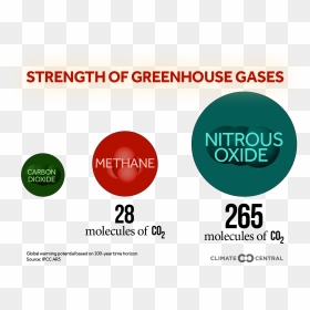 With A Title • Without - Greenhouse Gases Transparent Background, HD Png Download - strength png