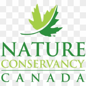 Transparent Shop Now Button Png - Nature Conservancy Of Canada Nova Scotia, Png Download - shop now button png