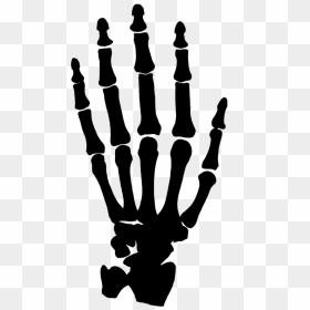 Hand Clipart Black And White Png - Transparent Background Skeleton Hand, Png Download - hand clipart png
