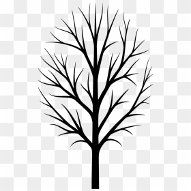 Skinny Tree Silhouette - Printable Bare Tree Template, HD Png Download - bare tree png