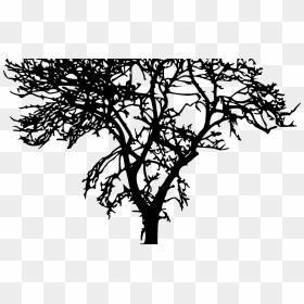 18 Bare Tree Silhouette Vol 2 Onlygfxcom - Tree Silhouette, HD Png Download - bare tree png