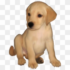 Labrador Retriever Png - Clip Art Golden Retriever Puppies, Transparent Png - cute puppy png