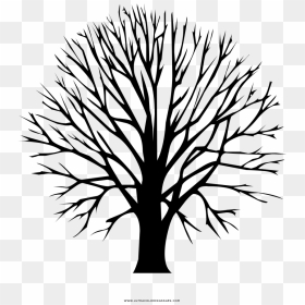 Bare Tree Coloring Page, HD Png Download - bare tree png