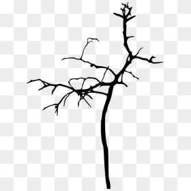 Simple Bare Tree Clipart Graphic Free Download Simple - Simple Tree Silhouette Png, Transparent Png - bare tree png