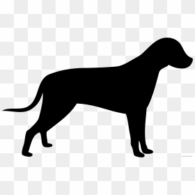 Dog Vector - Dog Png Vector, Transparent Png - cute puppy png