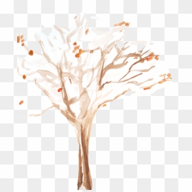 Still Life Photography, HD Png Download - bare tree png