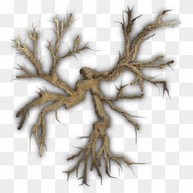 Bare Tree Png, Transparent Png - bare tree png