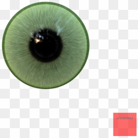 Eyeball Png Realistic - Macro Photography, Transparent Png - human eyes png