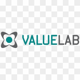 Value Lab Logo Photo - Value Lab, HD Png Download - lab png