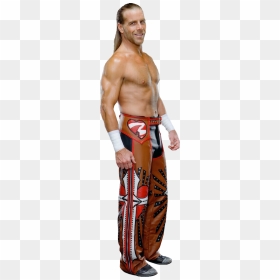 Shawn Michaels Png Pictures Png Images - Shawn Michaels Png, Transparent Png - shawn michaels png