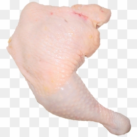 Chicken, HD Png Download - chicken leg png