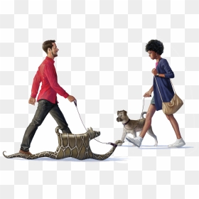 Factors That Up The Chances An Exotic Pet Gets Released - Exotic Pets, HD Png Download - people walking dog png