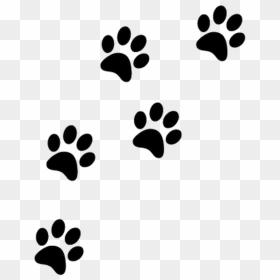 Thumb Image - Transparent Cat Paw Prints, HD Png Download - chat png