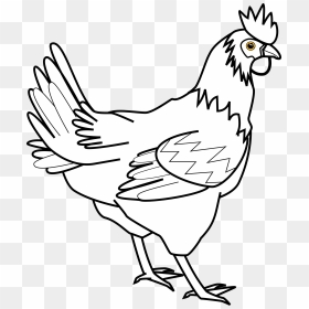 Chicken Black And White Clipart - Chicken Clipart Black And White, HD Png Download - chicken leg png