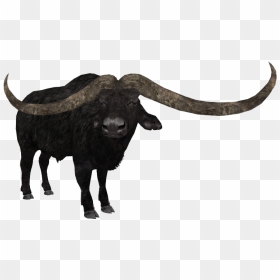 Transparent Buffalo Png - Tycoon Zoo Bison, Png Download - buffalo png