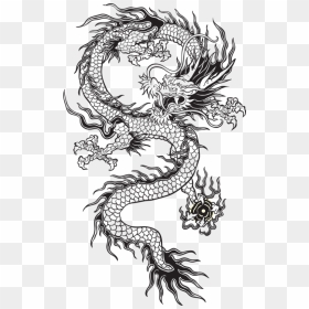 Transparent Chinese Dragon Tumblr Black And White - Chinese Dragon Tattoo Transparent, HD Png Download - png dragon