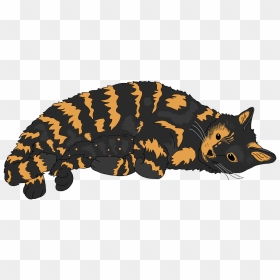Cat Tortoiseshell Cat Cute Cat - Tortoiseshell Cats Clipart Png, Transparent Png - cute cat png