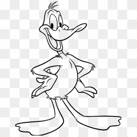 Transparent Daffy Duck Png - Looney Tunes Characters Drawings, Png Download - daffy duck png