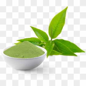 Thai Tea Green Tea Png, Transparent Png - green tea png