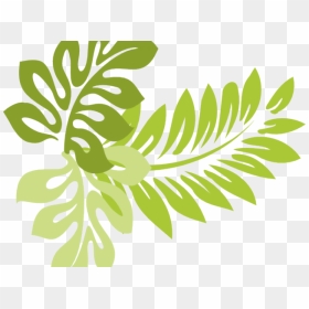 Tropics Clipart Jungle Leaves - Hawaiian Plant Clip Art, HD Png Download - jungle leaves png