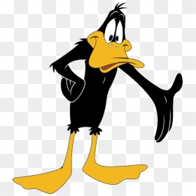 Looney Tunes Clipart, HD Png Download - daffy duck png