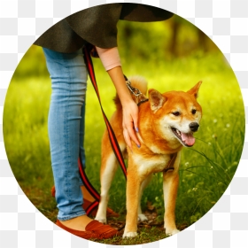 People Walking Dog Png, Transparent Png - people walking dog png