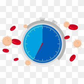 What Is Blood Cancer - Circle, HD Png Download - clock clipart png