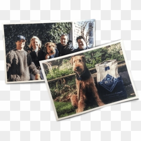 Family Photo Collage Of The Bishops And Their Airedale - Grizzly Bear, HD Png Download - buffalo png