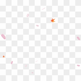 Sakura Flower Png - Balloon, Transparent Png - sakura flower png