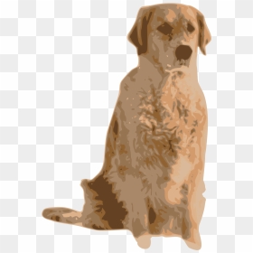 Golden Retriever Free Png Image - Retriever, Transparent Png - golden retriever png