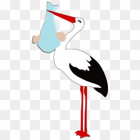 Stork Holding A Baby Boy Clipart - Clipart Storch, HD Png Download - baby boy png