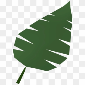 The Runescape Wiki - Illustration, HD Png Download - jungle leaves png