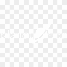 Planet Sea Logo White, HD Png Download - sea png
